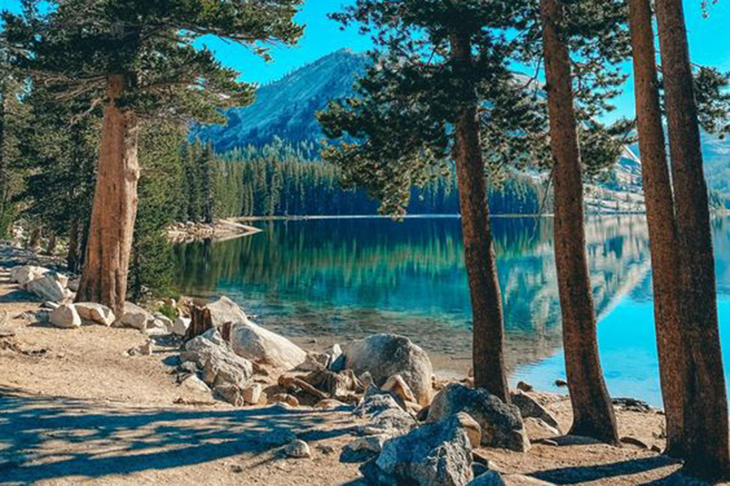 United In Yosemite: postpaidcall Joins the Celebration of Diversity in Climbing